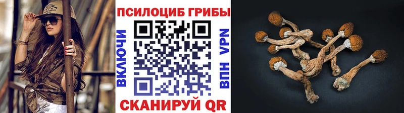 Галлюциногенные грибы Psilocybe  Разумное 